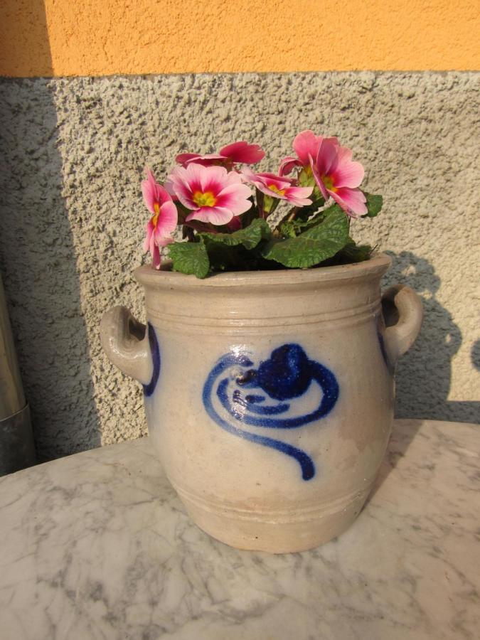 Gite Le Vigneron Donnenheim Buitenkant foto